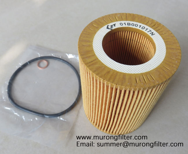 06D115562 oil filter.jpg